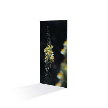 140 Watt Infrarot-Heizung Exklusiv mit Motiv