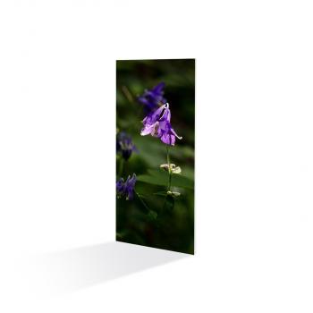 700 Watt Infrarot-Heizung Exklusiv mit Motiv